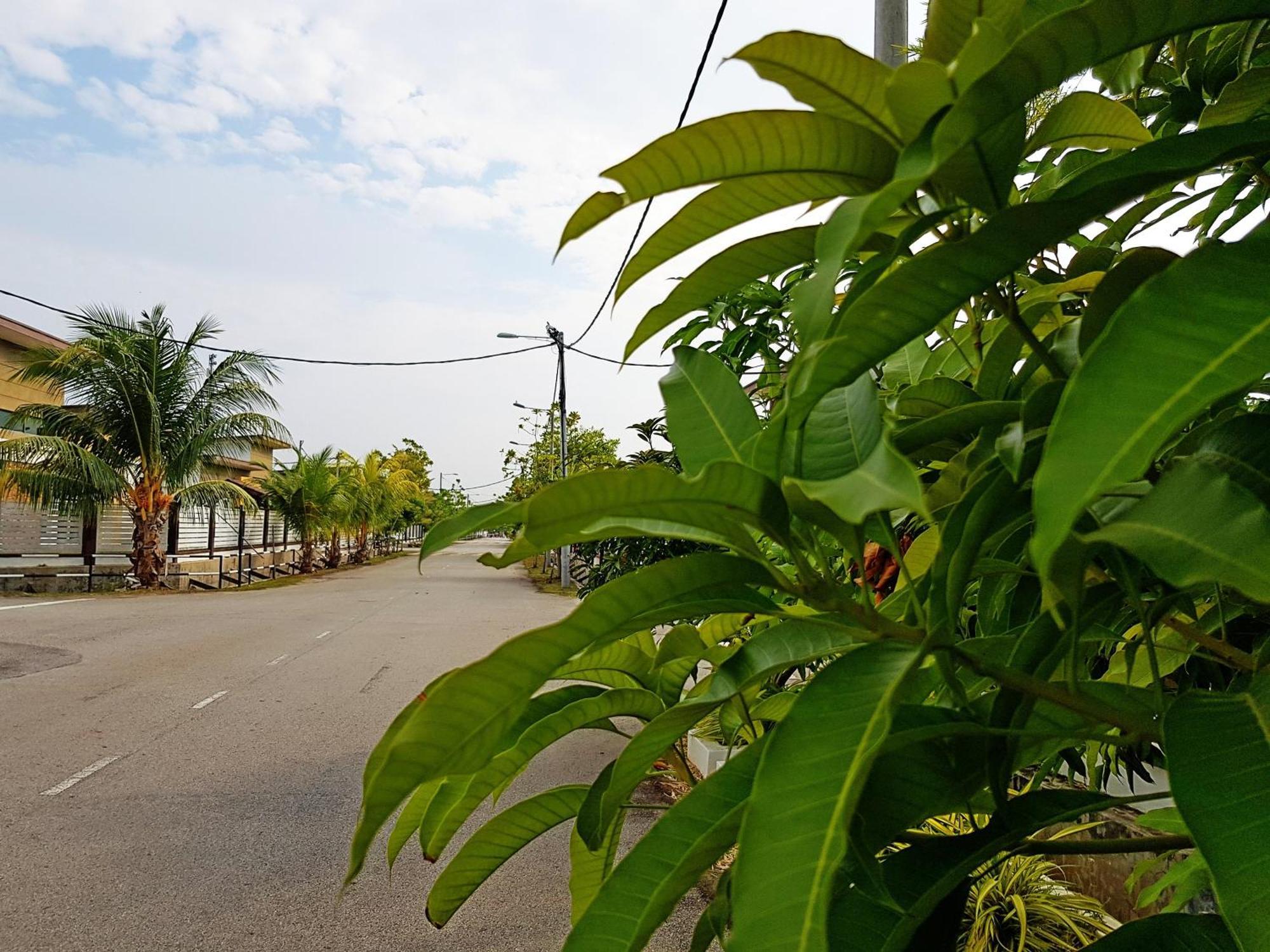 Siantan In Paya Rumput Near Std Hang Jebat, Sg Udang & Uitm Lendu Malacca Exterior foto